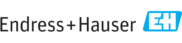 Endress + Hauser Logo